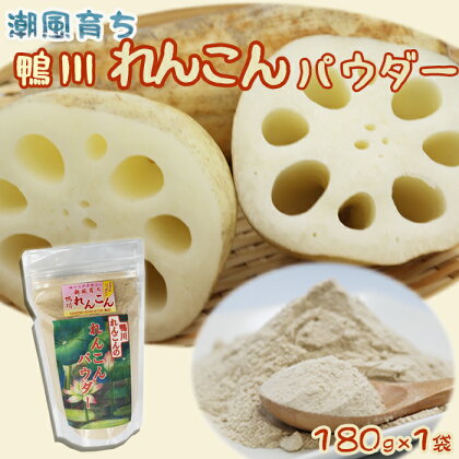 【鴨川れんこん100％】潮風育ちの『鴨川れんこんパウダー』180g×2袋 [0010-0225]