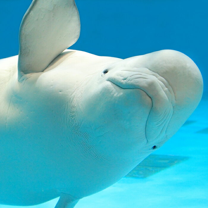 アイテムID:668124の画像2枚目