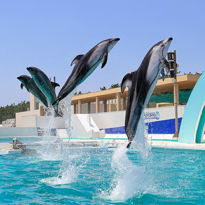 アイテムID:668124の画像3枚目