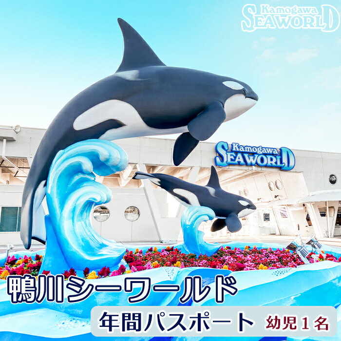 容量鴨川シーワールド年間パスポート「Dolphin Dream Club」幼児（4歳以上）1名様 年間パスポートの受け取り有効期限は発送日より3カ月間です。消費期限入金確認後「入会申込書」をお送りいたします。 「入会申込書」は発行後3カ月以内に鴨川シーワルドへ直接ご持参ください。 「入会申込書」をご持参いただいた日から、1年間ご利用いただけるパスポートを発行いたします。事業者鴨川シーワールド申込期日通年申し込み可能発送期日入金確認後7日以内に発送（配送日の指定が可能です。）配送常温／日時指定可／別送可日本を代表する水族館『鴨川シーワールド』の年間パスポート『Dolphin Dream Club（DDC）』 『Dolphin Dream Club』は通常の年間パスポート『ONE YEAR PASS』とは異なるゴールド会員という位置づけ。 年間入館フリーパスだけでなく、さまざまな特典が付く特別な会員様です。 特典には、駐車料金が50％割引になるほか、同伴者の入館料・館内レストランや売店・シーワールドホテル宿泊などの割引をご用意。 その他、動物とのふれあい体験の電話予約、会報誌の郵送、オリジナルグッズやバースデープレゼントなど盛りだくさん！ ※DDC特典の詳細は以下の詳細ページ、または鴨川シーワールドの公式ホームページにてご確認ください。 海の生き物たちの大迫力＆かわいらしいパフォーマンスは何度見ても感動すること間違いありません！年間を通してでしか味わえない、鴨川シーワールドの魅力を存分に味わってください！ 【重要】会員規約改定について 令和6年3月1日より、DDC会員規約が改定されました。 一部特典内容が変更されておりますので、ご注意ください。ここでしか味わえない感動体験雄大な太平洋が眼前に広がる解放感いっぱいの水族館「鴨川シーワールド」。 1970年の開業以来、海の世界との出会いの場を提供し続けてきました。 園内では800種を超える個性豊かな海の生き物たちが生命を営み、 そのありのままの生命の輝きが、大きな驚きや感動をもたらしてくれます。 海の世界をリアルに再現した展示。 空の下でのびのびと暮らす、穏やかな海の日常。 動物たちの知性や運動能力を引き出すパフォーマンス。 ここでしか見ることのできない生態、味わうことのできない感動がもりだくさん！ 海の仲間たちが繰り広げる、パフォーマンスや生態を1年間味わい尽くしてください！Dolphin Dream Club の入会特典特典1　年間入館フリーパス会員証発行 特典2　鴨川シーワールド直営駐車場の駐車料金50％割引 特典3　会員同伴者入館割引 特典4　海の生き物たちと触れ合える「ディスカバリーガイダンス」体験料割引および事前予約 　　　　※パフォーマンススケジュール決定後、1ヵ月前より月1回、3種類まで電話予約可能 特典5　館内レストラン・売店利用時5％割引 特典6　鴨川シーワールドホテル宿泊料金（HPレギュラープラン料金）より5％割引 特典7　「動物友の会」無料受講 特典8　年2回発行 機関紙「さかまた」を郵送 特典9　2ヵ月に1回「DDCニュース」を郵送 特典10　誕生月の来館時オリジナルピンバッチプレゼント 特典11　おひとり様に1つ、オリジナルグッズプレゼント 　　　　※新規入会または更新時、おひとり様1回限り★豊富な園内プログラム★シャチパフォーマンス イルカパフォーマンス ベルーガパフォーマンス アシカパフォーマンス フィーディングタイム（海の動物やお魚の食事風景見学） ペリカンのガイダンス ディスカバリーガイダンス（イルカやアシカとの記念撮影、ベルーガとのタッチなど・全8種類） コーラルメッセージ（3D・CG技術を用いた大水槽で自分だけのオリジナルお魚が遊泳） このほかに季節限定イベントも開催 関連商品はこちら【ふるさと納税】鴨川シーワールド 入園...10,000円【ふるさと納税】鴨川シーワールド 入園...14,000円【ふるさと納税】鴨川シーワールド 入園...11,000円【ふるさと納税】鴨川シーワールド 年間...17,000円【ふるさと納税】鴨川シーワールド 年間...25,000円【ふるさと納税】鴨川シーワールド 年間...42,000円【ふるさと納税】鴨川シーワールド 年間...35,000円