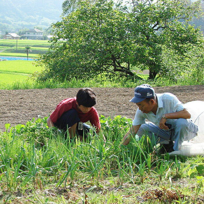 【ふるさと納税】【千葉県鴨川市】農家民泊＆農業体験 2名様 [0090-0002]その2