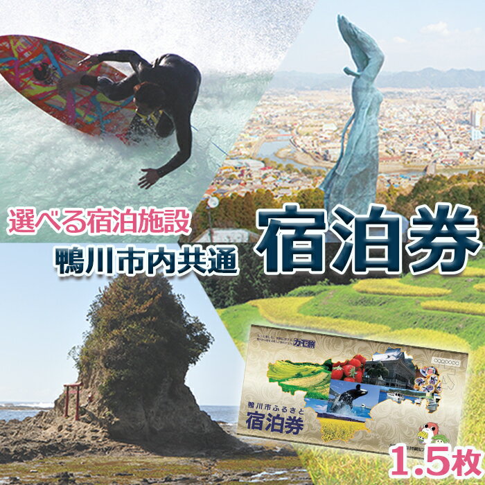 【ふるさと納税】【千葉県鴨川市】市内宿泊施設 共通宿泊券 1.5枚 1万5千円相当 [0050-0034]