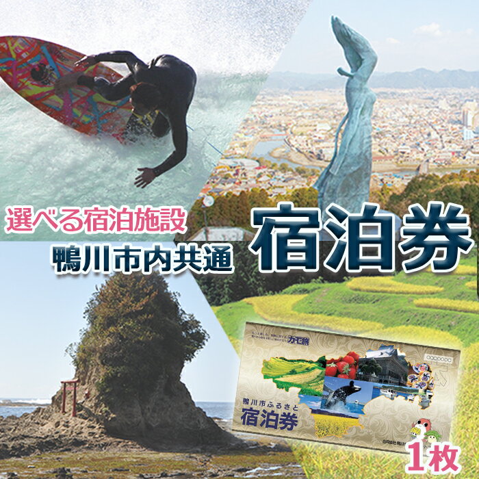 【ふるさと納税】【千葉県鴨川市】観光タクシー3時間 ＆ 市内共通宿泊券1枚　[0100-0027]その2