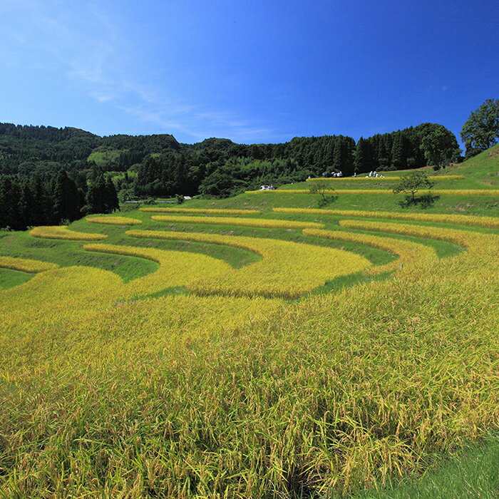 【ふるさと納税】【千葉県鴨川市】観光タクシー6...の紹介画像3