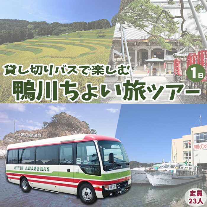 【ふるさと納税】【千葉県鴨川市】貸切バスで楽しむち