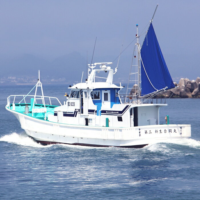 【ふるさと納税】【貸切り】釣り船体験コース(平...の紹介画像2