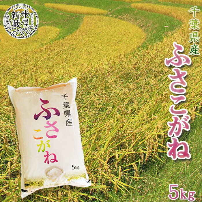 【米屋新蔵】千葉県産『ふさこがね』5kg 　[0008-0035]