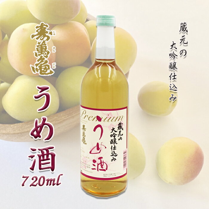 【ふるさと納税】【寿萬亀-亀田酒造-】蔵元の大吟醸仕込み『うめ酒』720ml　[0010-0335]のサムネイル