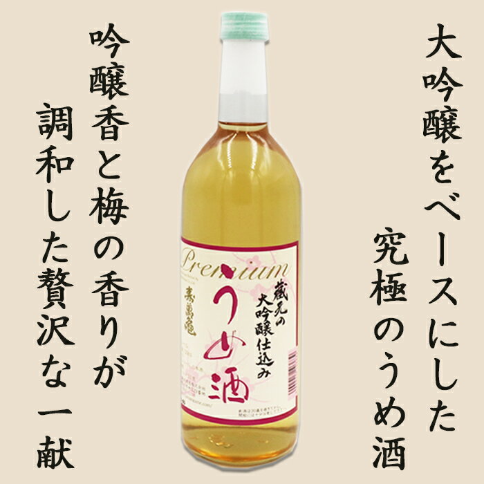 【ふるさと納税】【寿萬亀-亀田酒造-】蔵元の大吟醸仕込み『うめ酒』720ml　[0010-0335]