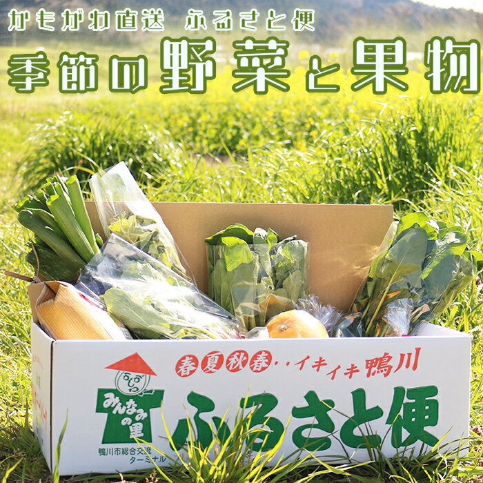 楽天千葉県鴨川市【ふるさと納税】【鴨川直送ふるさと便】季節の野菜＆果物詰合せ [0010-0168]