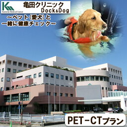 【ふるさと納税】【亀田クリニック Dock&Dog】PET-CT検査プラン　1名様（平日限定1泊2食付） [0500-0013]