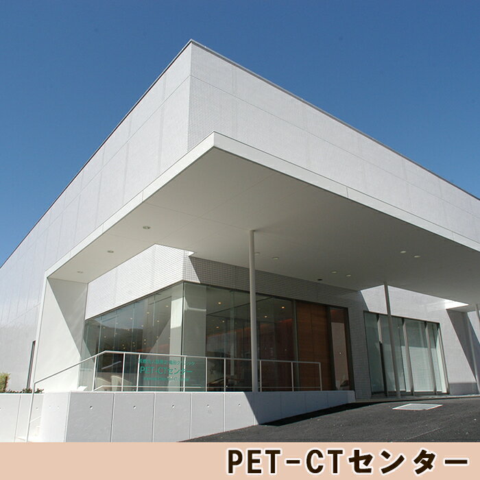 【ふるさと納税】【亀田クリニック Dock&Dog】PET-CT検査プラン　1名様（平日限定1泊2食付） [0500-0013]