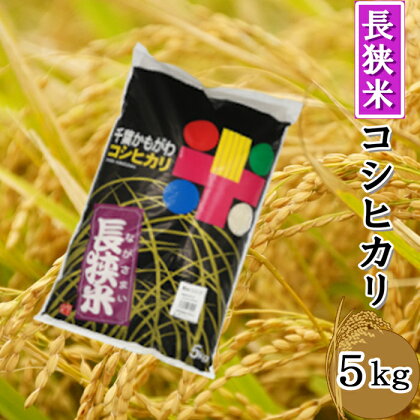 【鴨川産】長狭米コシヒカリ 精米5kg [0010-0325]