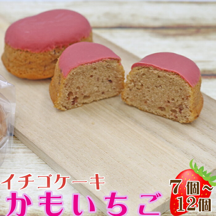 [鴨川フルーツケーキ]イチゴケーキ「かもいちご」 7個〜12個 [0010-0313]