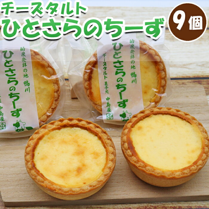 ひとさらのチーズ(チーズタルト)9個入り [0010-0315]