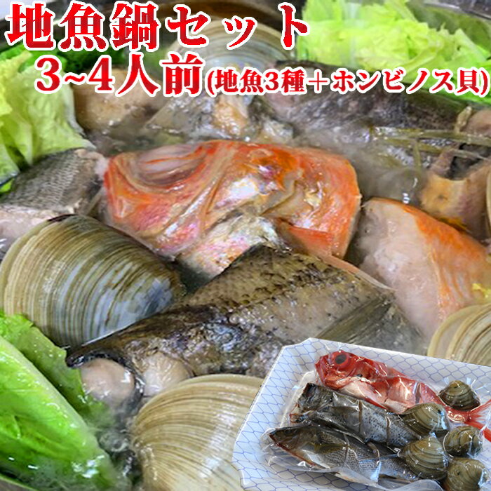 【ふるさと納税】地魚海鮮鍋セット [0010-0238]