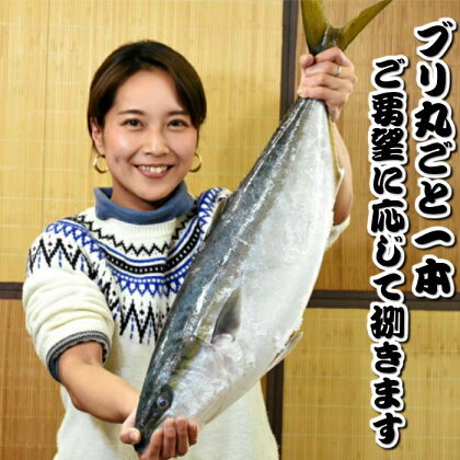 ［日時指定必須］いずみや鮮魚店のブリ丸ごと一本 [0050-0049]