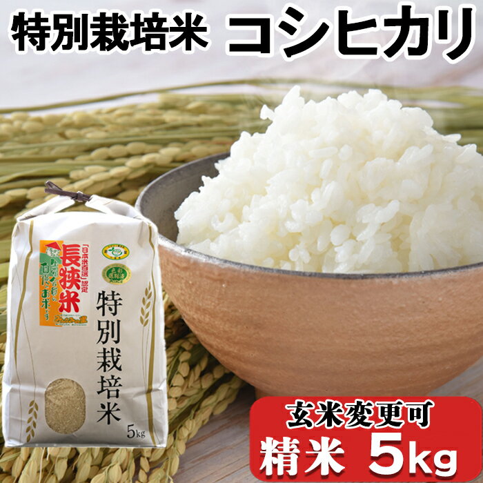 【令和5年産】川名一将さんちの長狭米 特別栽培米コシヒカリ5kg ※精米・玄米選択可能 [0010-0175]