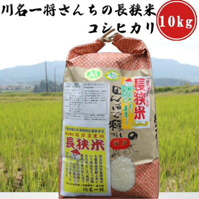 楽天ふるさと納税　【ふるさと納税】【令和5年産】川名一将さんちの長狭米　コシヒカリ10kg ※精米・玄米選択可能 [0017-0003]