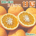 15位! 口コミ数「0件」評価「0」【初夏の味覚】甘夏房のカモガワ甘夏 9kg以上　[0010-0249]