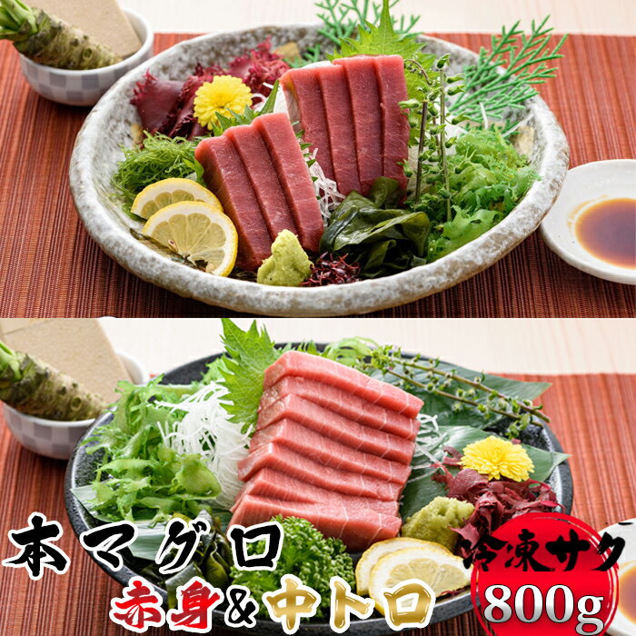 【日時指定可能】本マグロ 赤身&中トロセット 各400g[0026-0002]