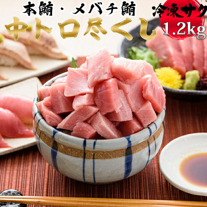 【日時指定可能】中トロセット (本マグロ600g+メバチマグロ600g) [0033-0003]