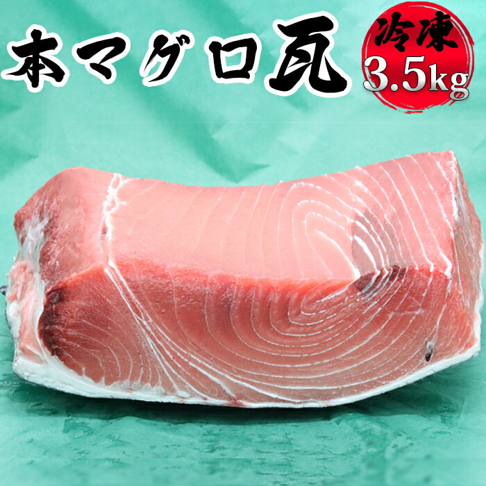 [日時指定可能]本マグロ瓦1枚(3.5kg以上)[0105-0001]