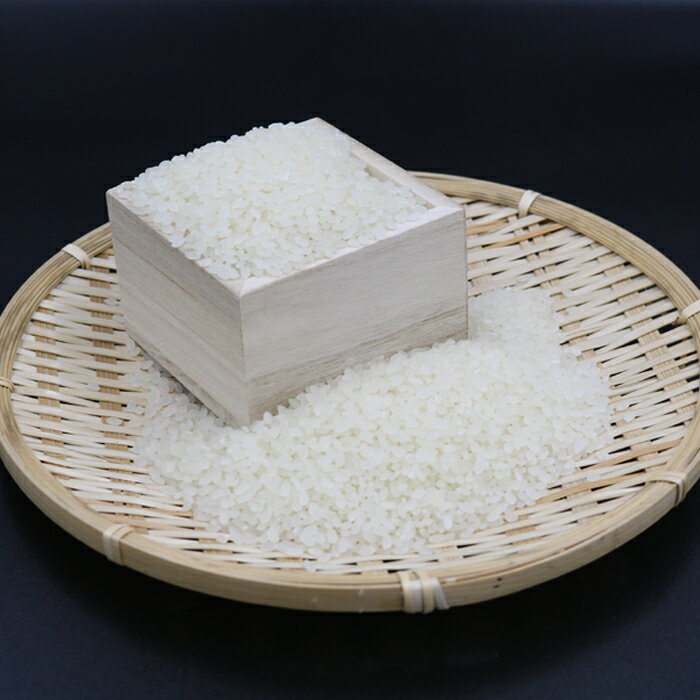 【ふるさと納税】【令和7年産】嶺南ファームの峰岡米「コシヒカリ」5kg　定期便（3回 ／6回）　[0050-0101]