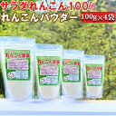 18位! 口コミ数「1件」評価「5」【鴨川サラダれんこん】れんこんパウダー 100g×4袋 [0010-0260]