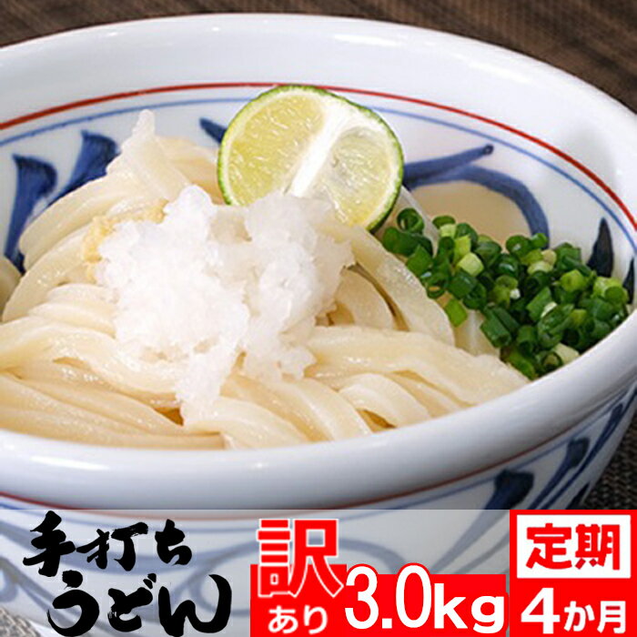 [訳あり定期便]本格手打ちうどん(冷凍) 約3kg×4ヶ月[0040-0013]