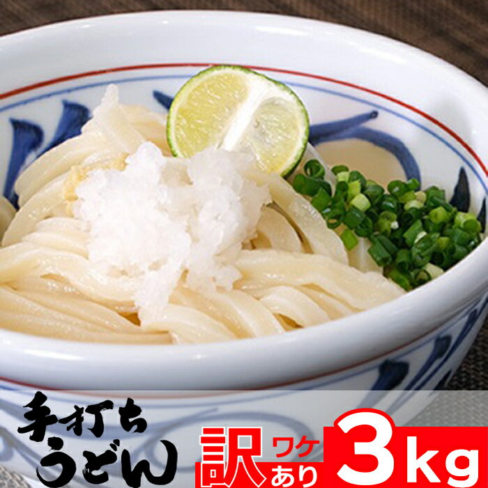 【訳あり】本格手打ちうどん(冷凍)　約3kg（16人前）[0010-0266]