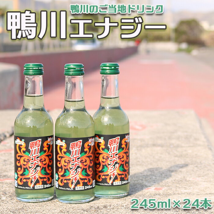 [鴨川のご当地ドリンク]鴨川エナジー 245ml×24本 [0020-0081]