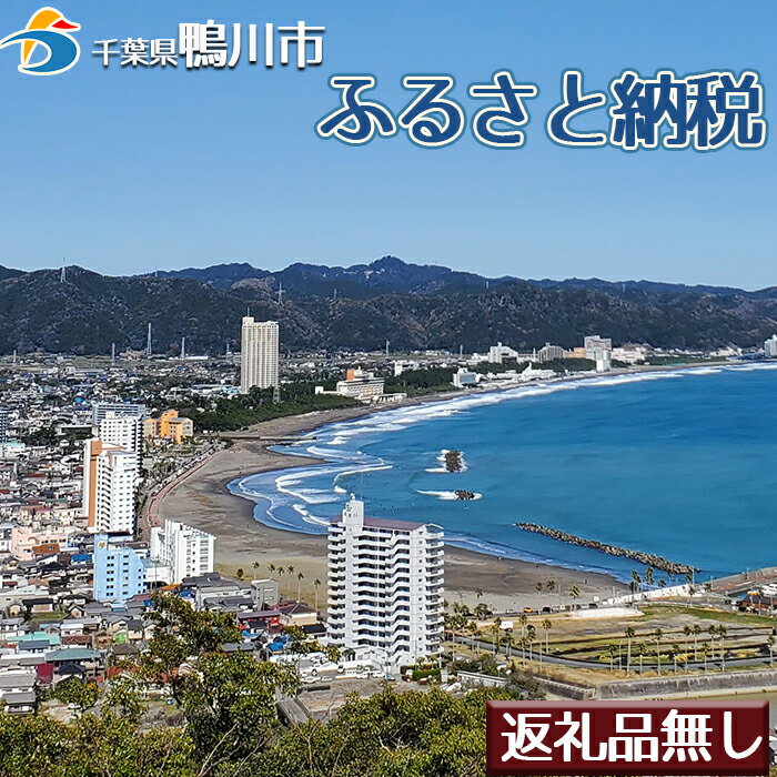 1位! 口コミ数「0件」評価「0」鴨川市ふるさぽーと寄附金 返礼品なし [0002-0001]