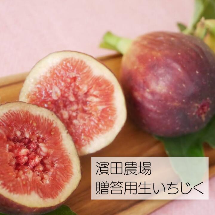 生産者直送！無花果（いちじく）12粒入り 約1kg