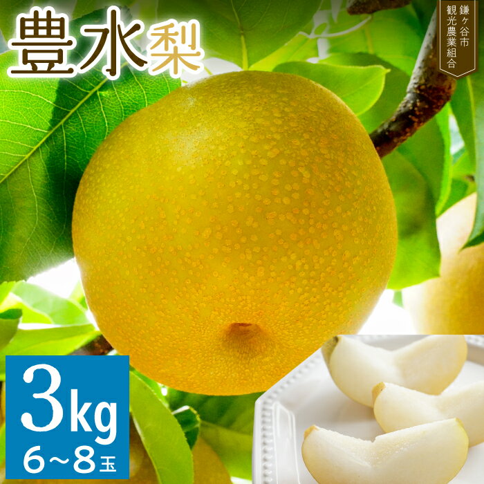 豊水 梨 3kg 6～8玉 先行予約 千葉 鎌ケ谷市 完熟 甘い 観光農業組合 果物 フルーツ 贈答用 ギフト 2024年9月～順次発送