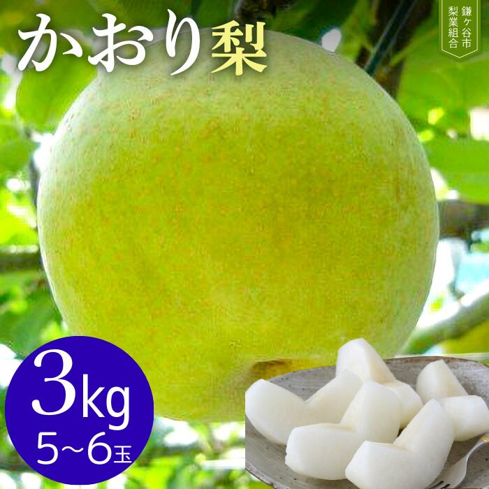 14位! 口コミ数「0件」評価「0」かおり 梨 3kg 5～6玉 先行予約 千葉 鎌ケ谷市 完熟 甘い 梨業組合 果物 フルーツ 贈答用 ギフト 2024年8月～順次発送 組合･･･ 