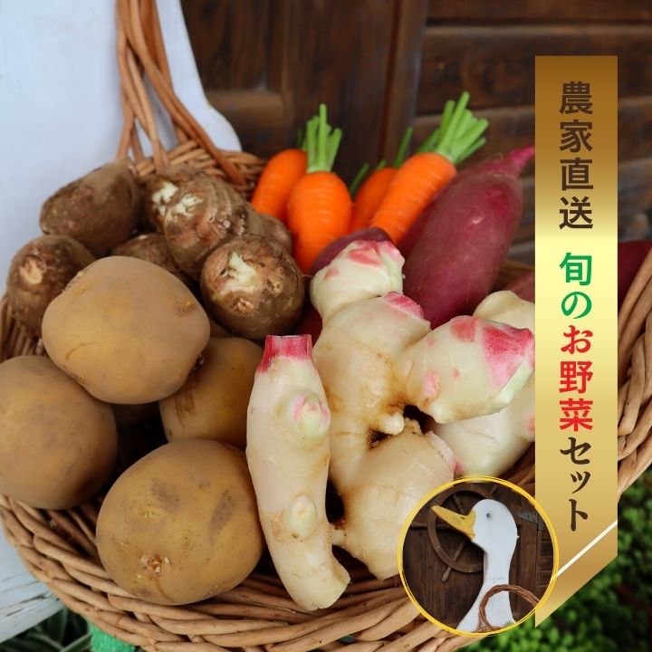 1位! 口コミ数「0件」評価「0」【農家直送】アヒル農園の旬のお野菜セット