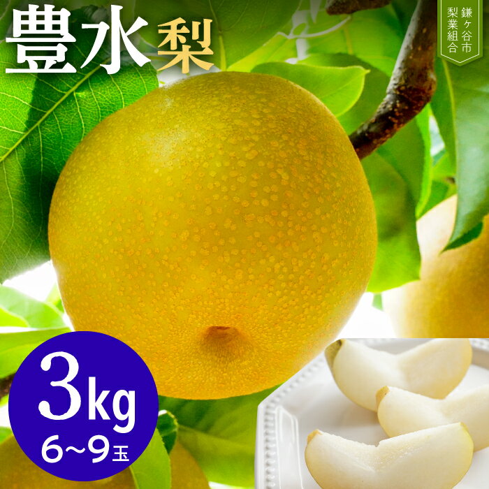 豊水 梨 3kg 6～9玉 先行予約 千葉 鎌ケ谷市 完熟 甘い 梨業組合 果物 フルーツ 贈答用 ギフト 2024年9月～順次発送 組合の梨