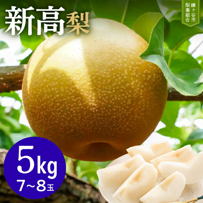 【ふるさと納税】新高 梨 5kg 7~8玉 先行予約 千葉 