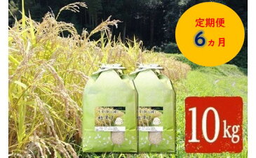 【ふるさと納税】定期便 6ヵ月 米 粒すけ 10kg ×6ヵ月 月1回・計6回 合計60kg 送料無料 大つぶ 君津米 千葉県産 オリジナル新品種 精米 令和3年産 大粒のしっかり食感 程よい粘り気と弾力 君津市 お米と雑穀の専門店 石川商店 君津市 千葉県