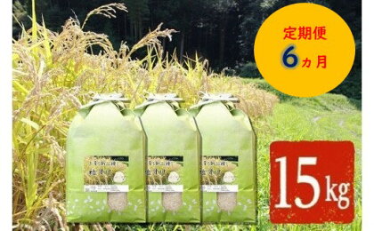 令和5年産 定期便 6ヶ月 米 粒すけ 15kg × 6ヵ月 月1回・計6回 合計90kg 送料無料 大つぶ 千葉県産 オリジナル新品種 精米 大粒のしっかり食感 程よい粘り気と弾力 お米と雑穀の専門店 石川商店 君津市 きみつ 千葉県