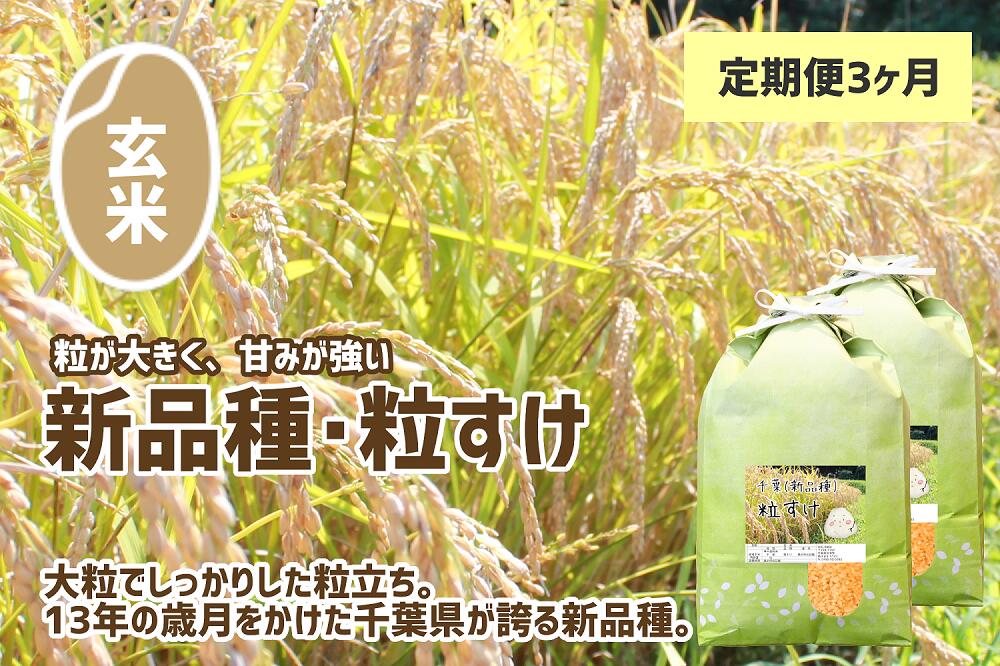 14位! 口コミ数「0件」評価「0」定期便・3ヶ月 玄米 令和5年産 粒すけ 5kg×2袋 合計30kg 先行予約 数量限定 送料無料 大つぶ 君津米 千葉県産 オリジナル 新･･･ 