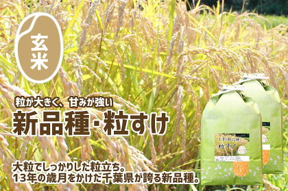 玄米 令和5年産 粒すけ 5kg×2袋 合計10kg 先行予約 数量限定 送料無料 大つぶ 君津米 千葉県産 オリジナル 新品種 大粒のしっかり食感 程よい粘り気と弾力 お米と雑穀の専門店 石川商店 君津市 きみつ 千葉県