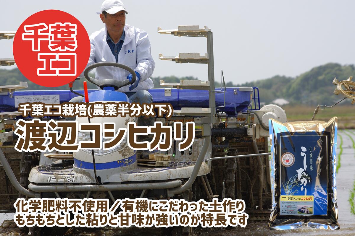 令和5年産 渡辺さんのコシヒカリ(千葉エコ栽培) 5kg 先行予約 数量限定 精米 千葉県産 米 食味鑑定士 (お米のソムリエ)が厳選 石川商店 君津市 きみつ 千葉県