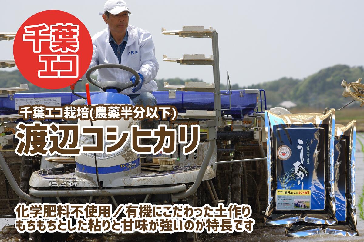 人気ランキング第49位「千葉県君津市」口コミ数「0件」評価「0」令和5年産 渡辺さんのコシヒカリ（千葉エコ栽培） 5kg×2袋 先行予約 数量限定 精米 千葉県産 米 食味鑑定士 (お米のソムリエ)が厳選 石川商店 君津市 きみつ 千葉県