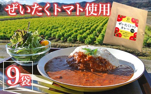 【ふるさと納税】 国内産 トマトカレー 9袋セット | 完熟とまと 送料無料 レトルト カレー カズサとまとガーデン 酸味 と スパイス 直売所 カズサの郷 愛彩畑 あいさいばたけ 君津 きみつ 千葉