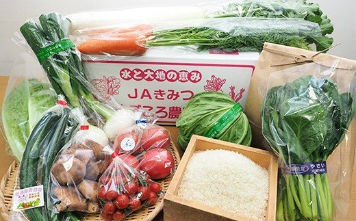 【ふるさと納税】君津市産 季節 の 野菜 8〜10種類 まごころBOX 冷蔵 & 令和5年産 コシヒカリ 精米 3kg 送料無料 人気の直売所 JAきみつ味楽囲（みらい）さだもと店 君津市 きみつ 千葉県