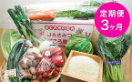 【ふるさと納税】定期便 3回 君津市産 季節の野菜8〜10種類 季節の野菜まごころBOX×【月1回・計3回】 ＆ 君津市産 令和5年産 コシヒカリ 精米 3kg ×【月1回・計3回】送料無料 JAきみつ味楽囲（みらい）さだもと店 人気の直売所 君津市 きみつ 千葉県