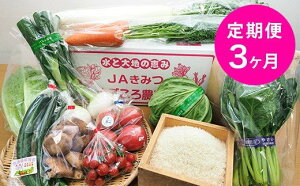 【ふるさと納税】定期便 3回 君津市産 季節の野菜8〜10種類 季節の野菜まごころBOX×【月1回・...