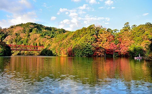 【ふるさと納税】 亀山湖 観光用 レンタルボー...の紹介画像2